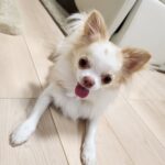 診療時間変更のお知らせです。